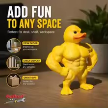 Home Gym Designs - Patung Bebek Berotot - Dekorasi Gym