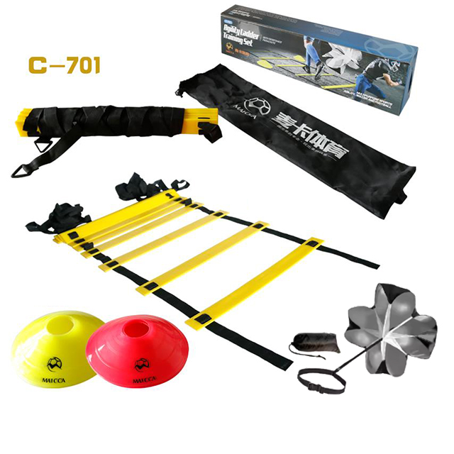 Set Latihan Kelincahan 15 Kaki - Agility Ladder Speed ulasan dan harga