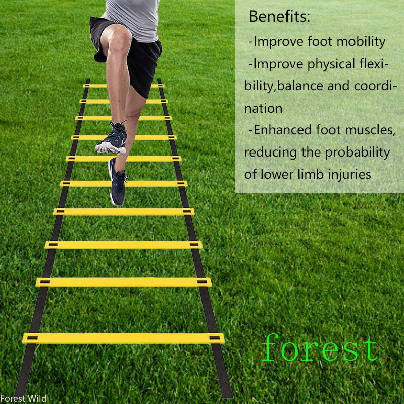 Tangga Kelincahan yang Dapat D - Agility Ladder Speed ulasan dan harga